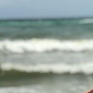 Meet your Posher, Abigail